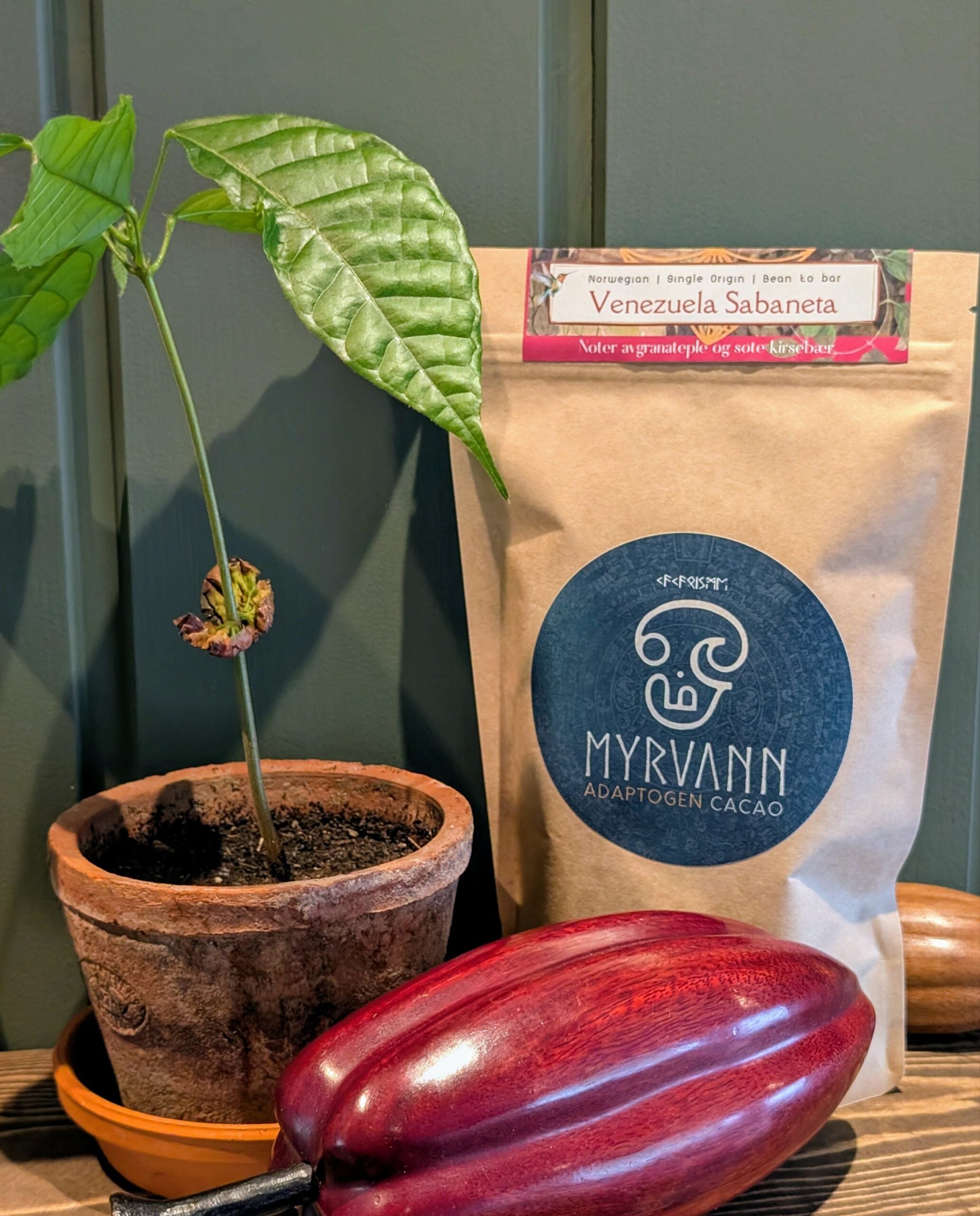 Myrvann Cacao - Venezuela Sabaneta
